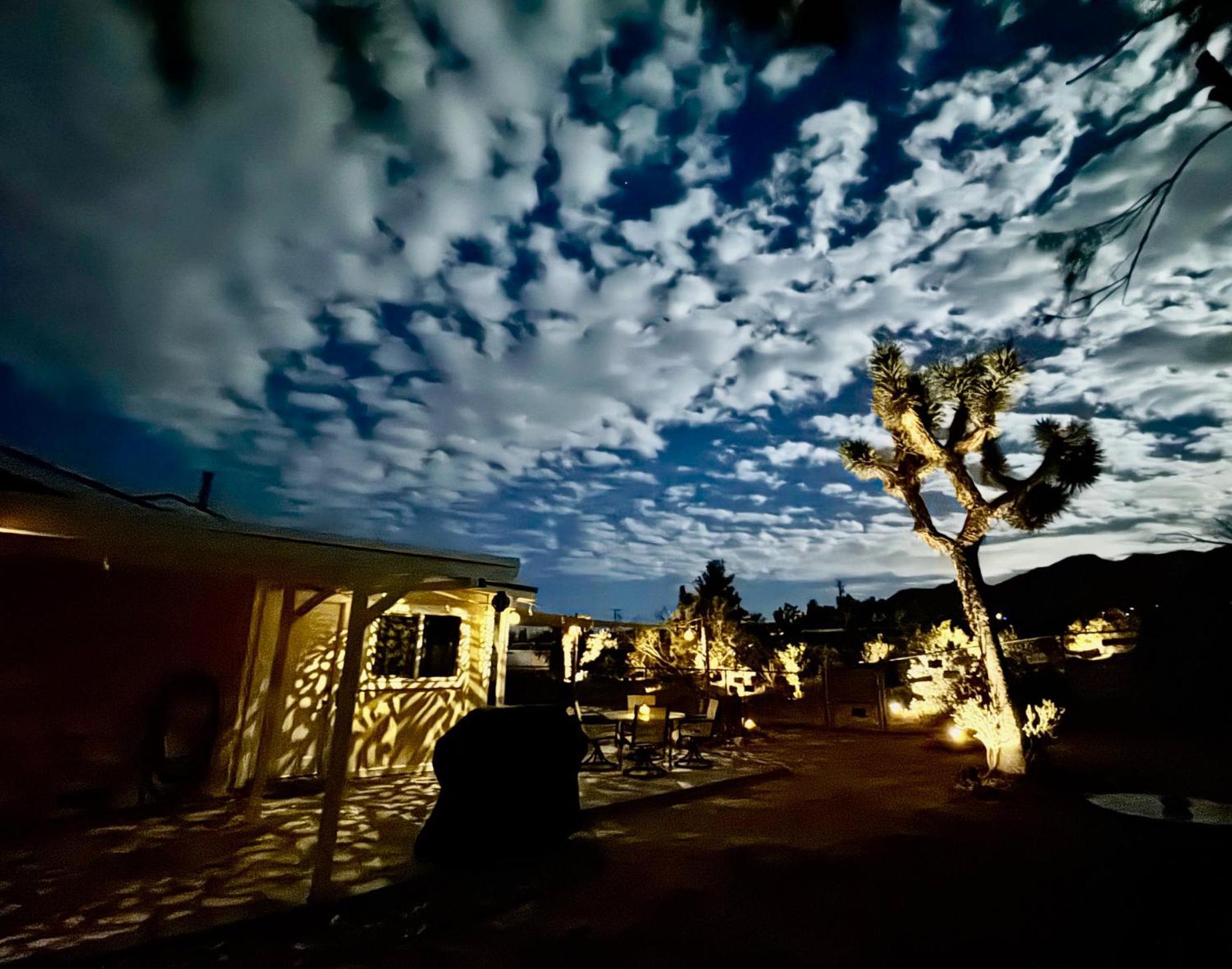 Float Pool, Hot Tub, Sauna, Views, Telescope-Skywatchers Haven Joshua Tree Exterior foto