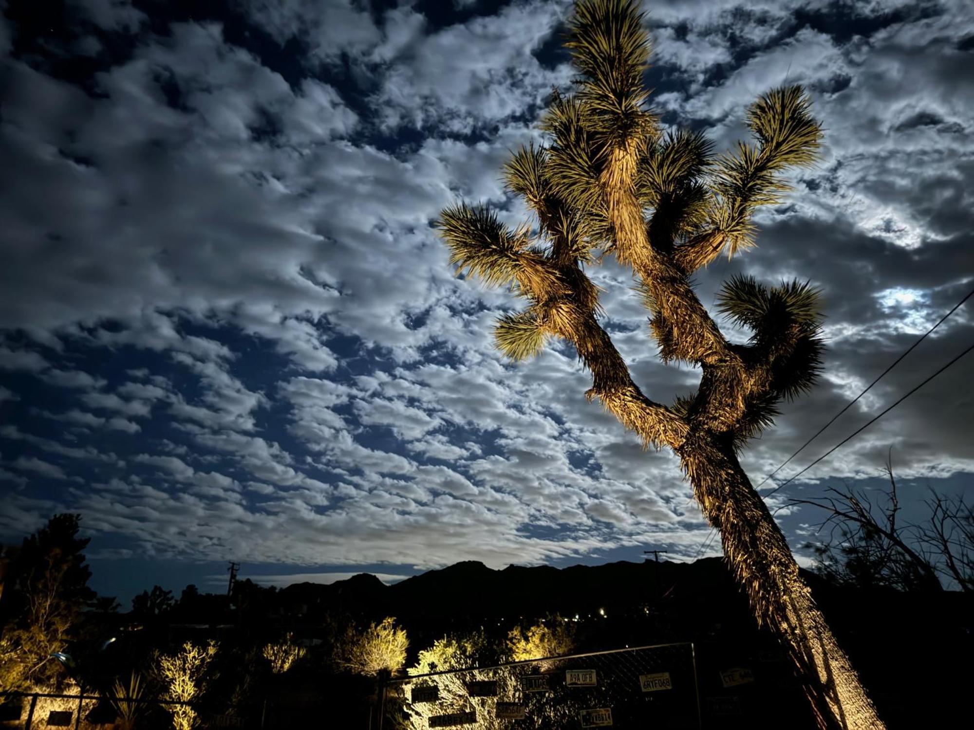 Float Pool, Hot Tub, Sauna, Views, Telescope-Skywatchers Haven Joshua Tree Exterior foto