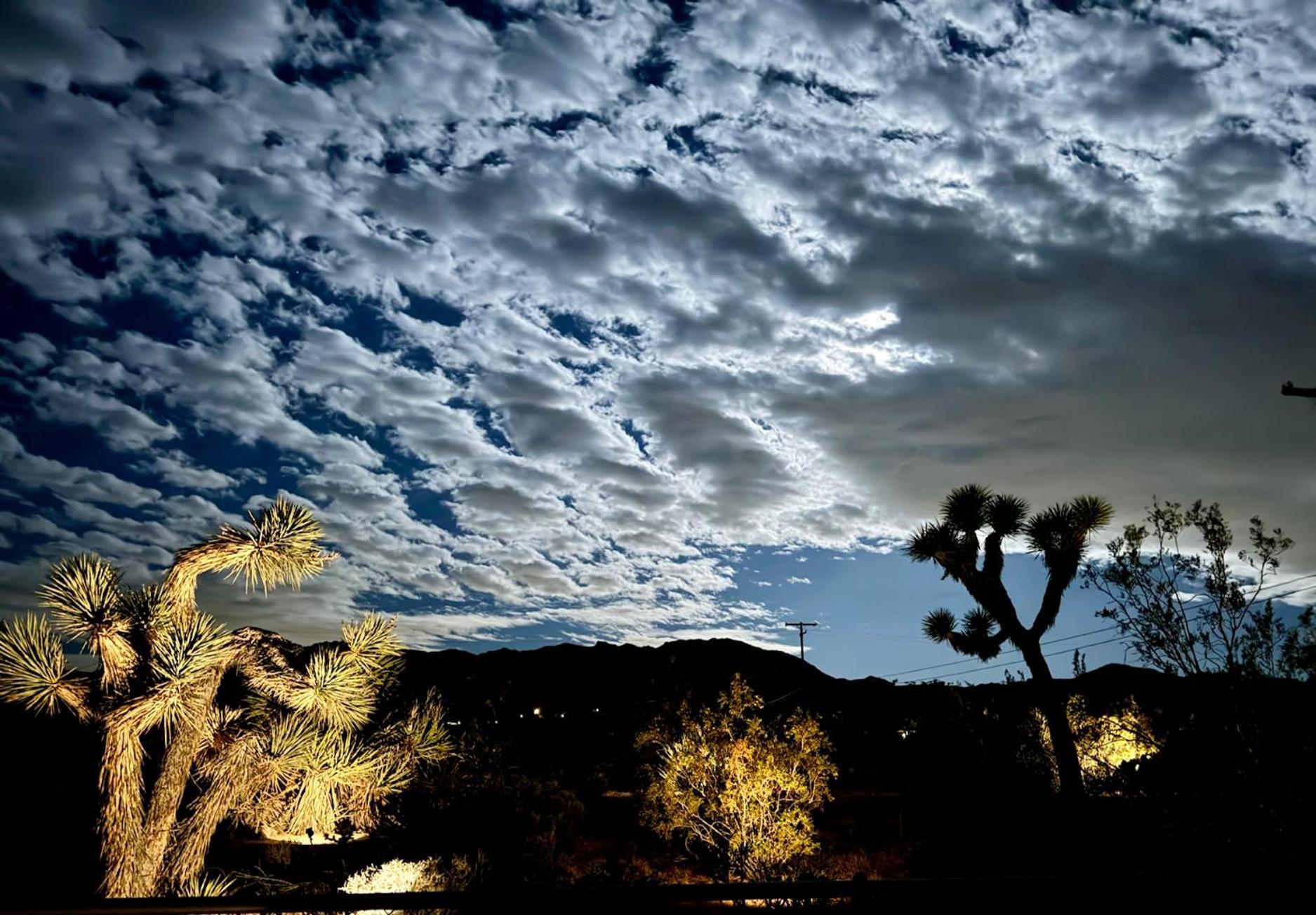 Float Pool, Hot Tub, Sauna, Views, Telescope-Skywatchers Haven Joshua Tree Exterior foto