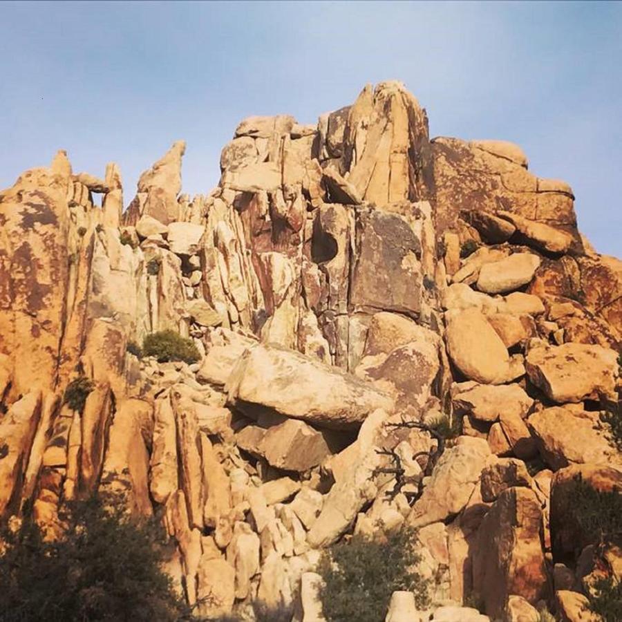 Float Pool, Hot Tub, Sauna, Views, Telescope-Skywatchers Haven Joshua Tree Exterior foto